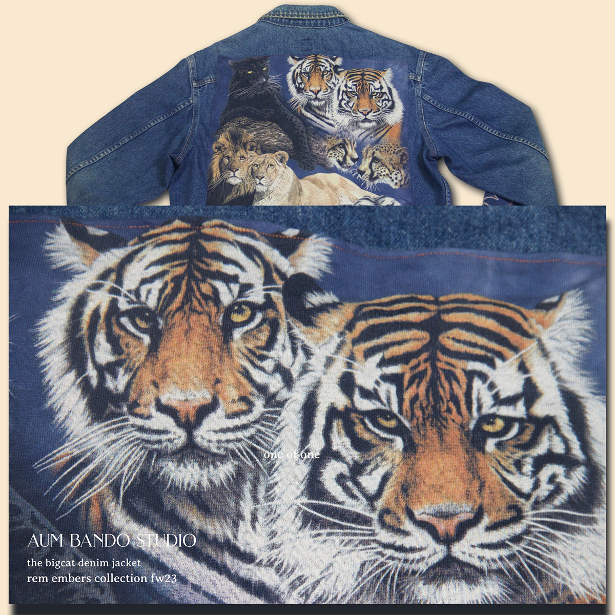 The Big-Cat Denim Jacket (1 of 1)