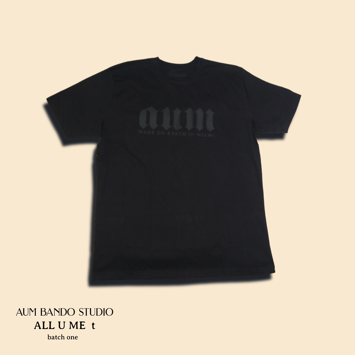 ALL U ME batch one t