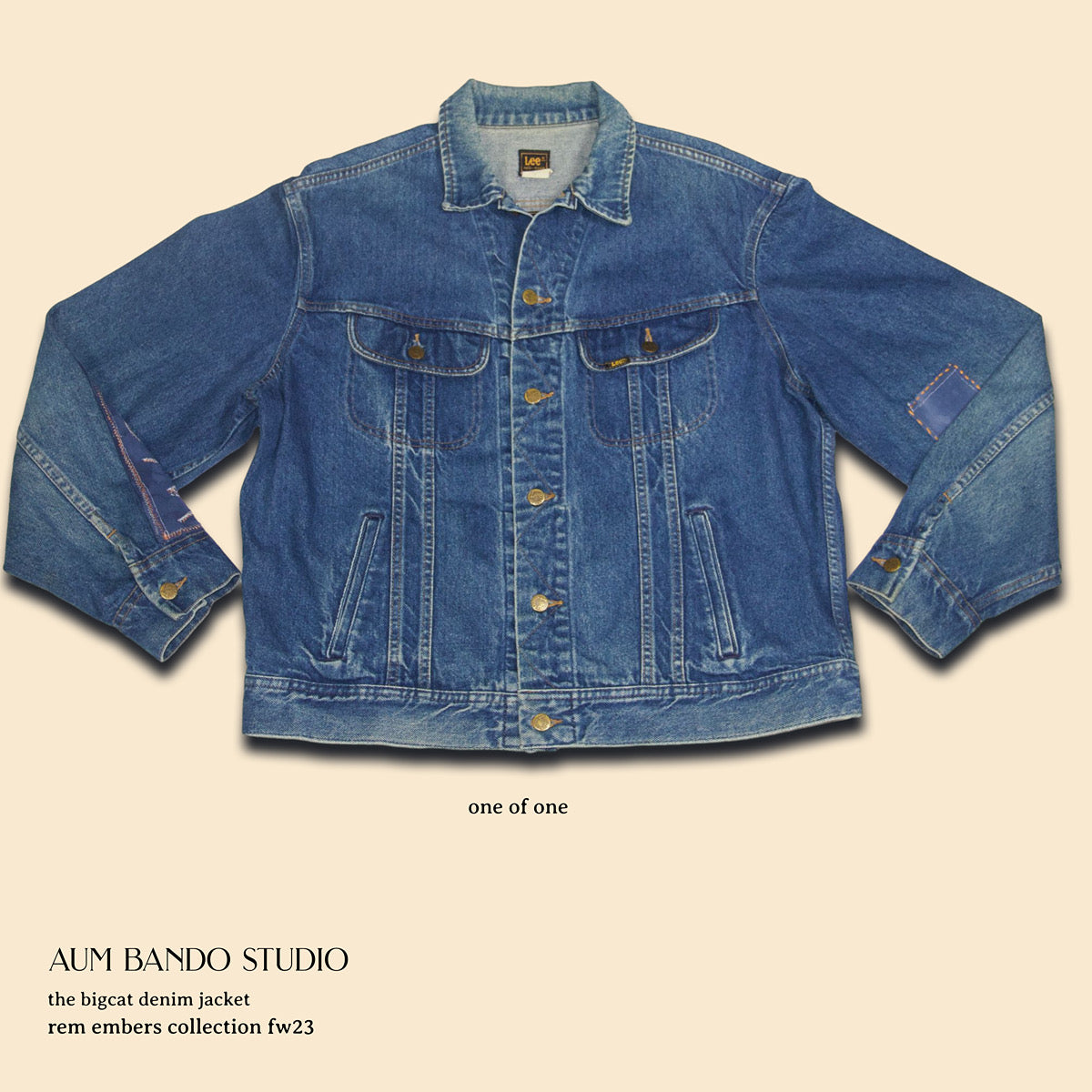 The Big-Cat Denim Jacket (1 of 1)