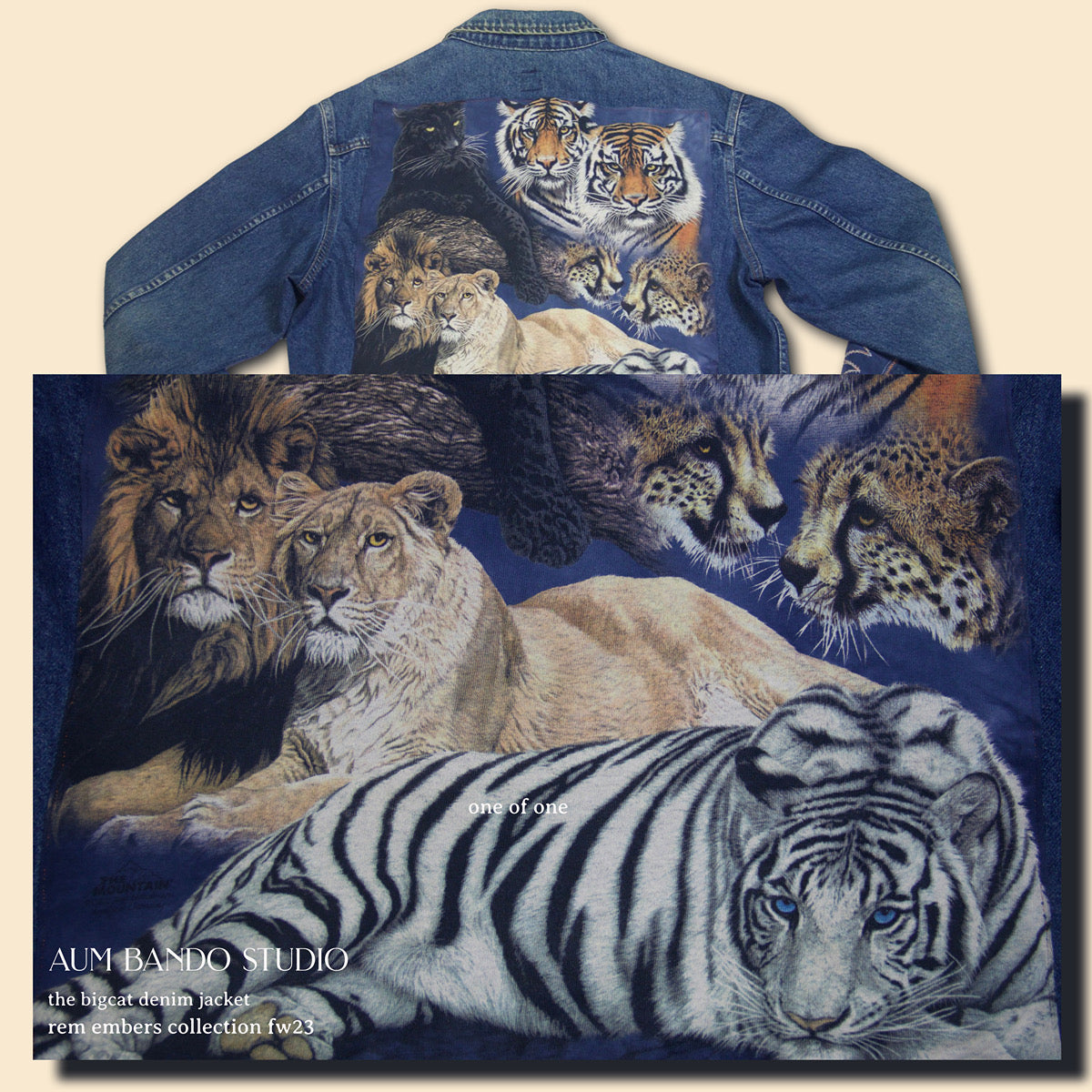 The Big-Cat Denim Jacket (1 of 1)