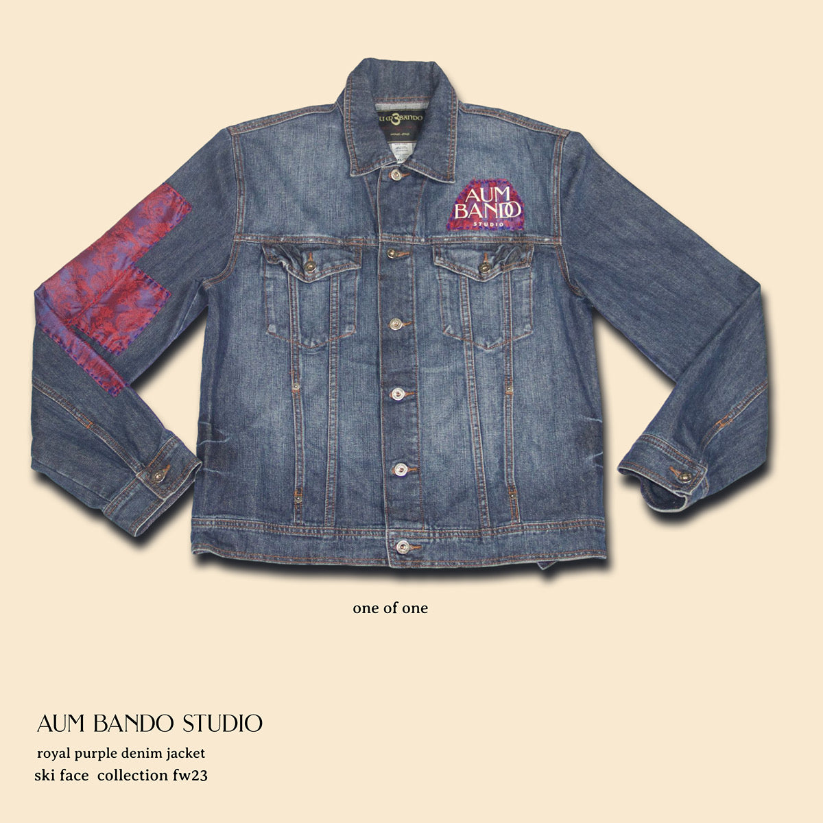 Royal Purple Denim Jacket (1 of 1)